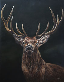 stag2