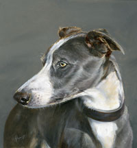 Long dog, greyhound, whippet, lurcher art work