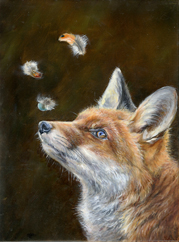 fox-and-feathers