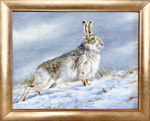 hare-framed